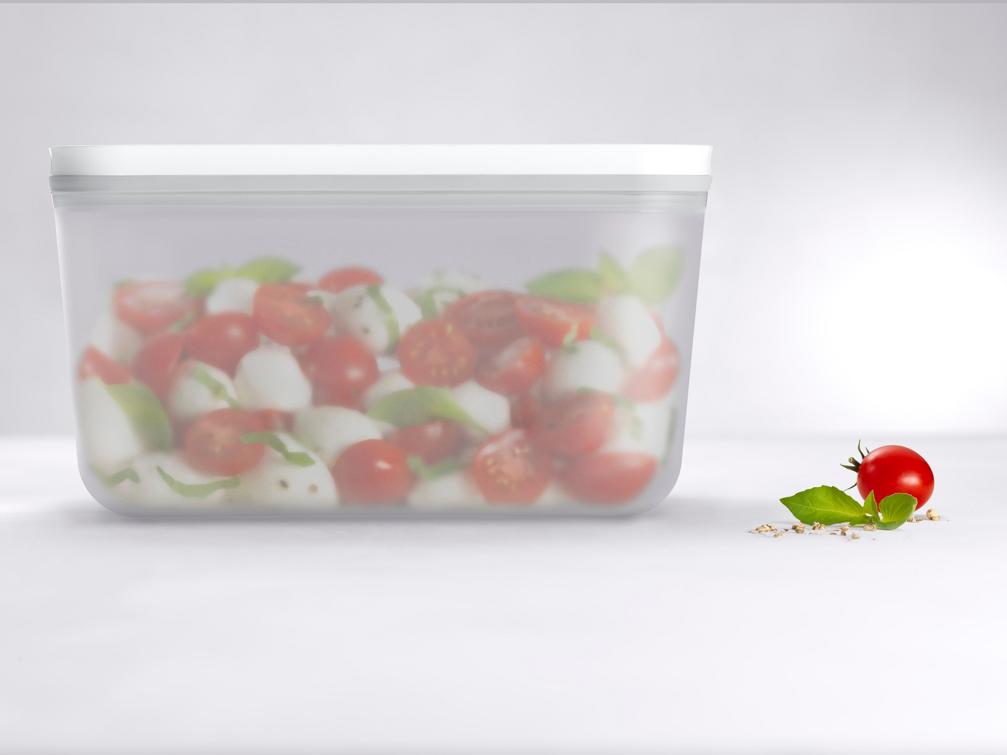 11_ZW_Plastic_Set 252554_ZWI_BoxSet_plastic_Seite_L3_0002_Food_300dpi