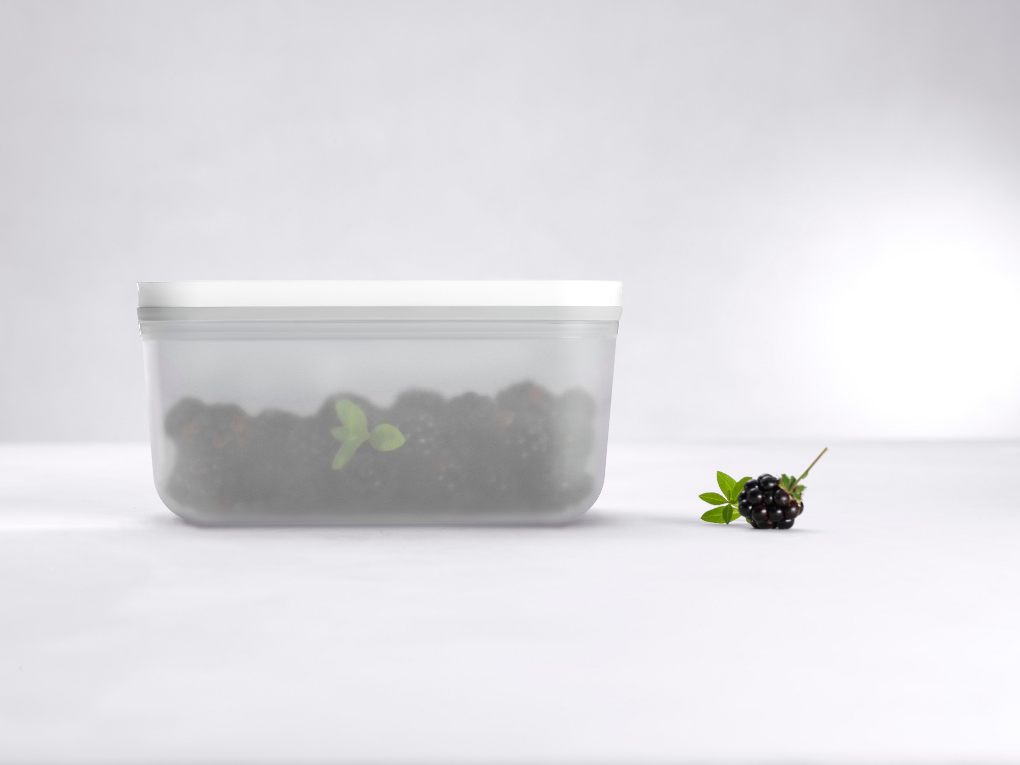 8_ZW_Plastic_M 252554_ZWI_BoxM_plastic_Seite_K1_0002_300dpi